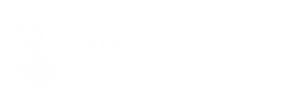 Szijjártó Gabi – life coach